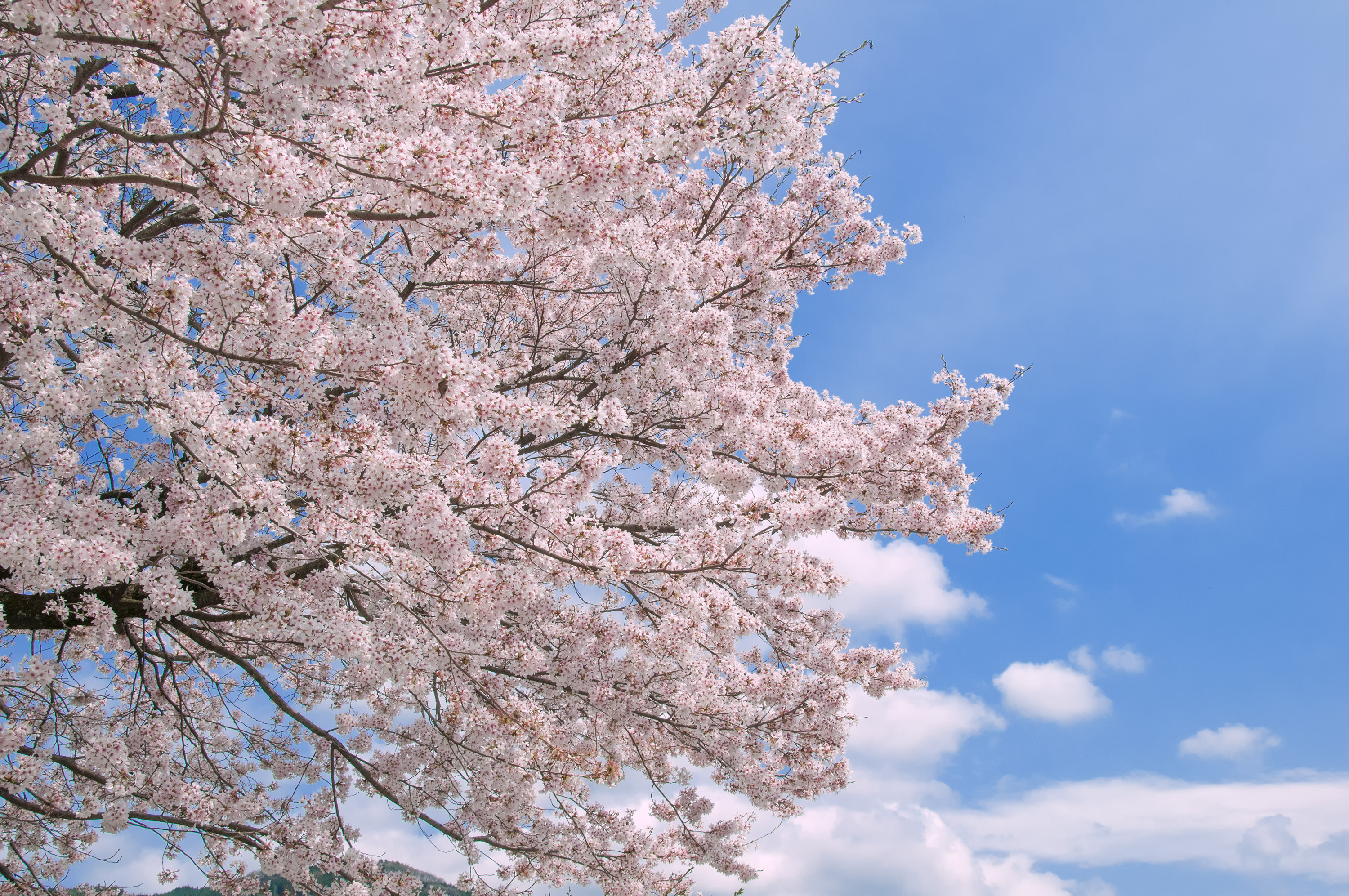 持ち物にひと工夫してみませんか？